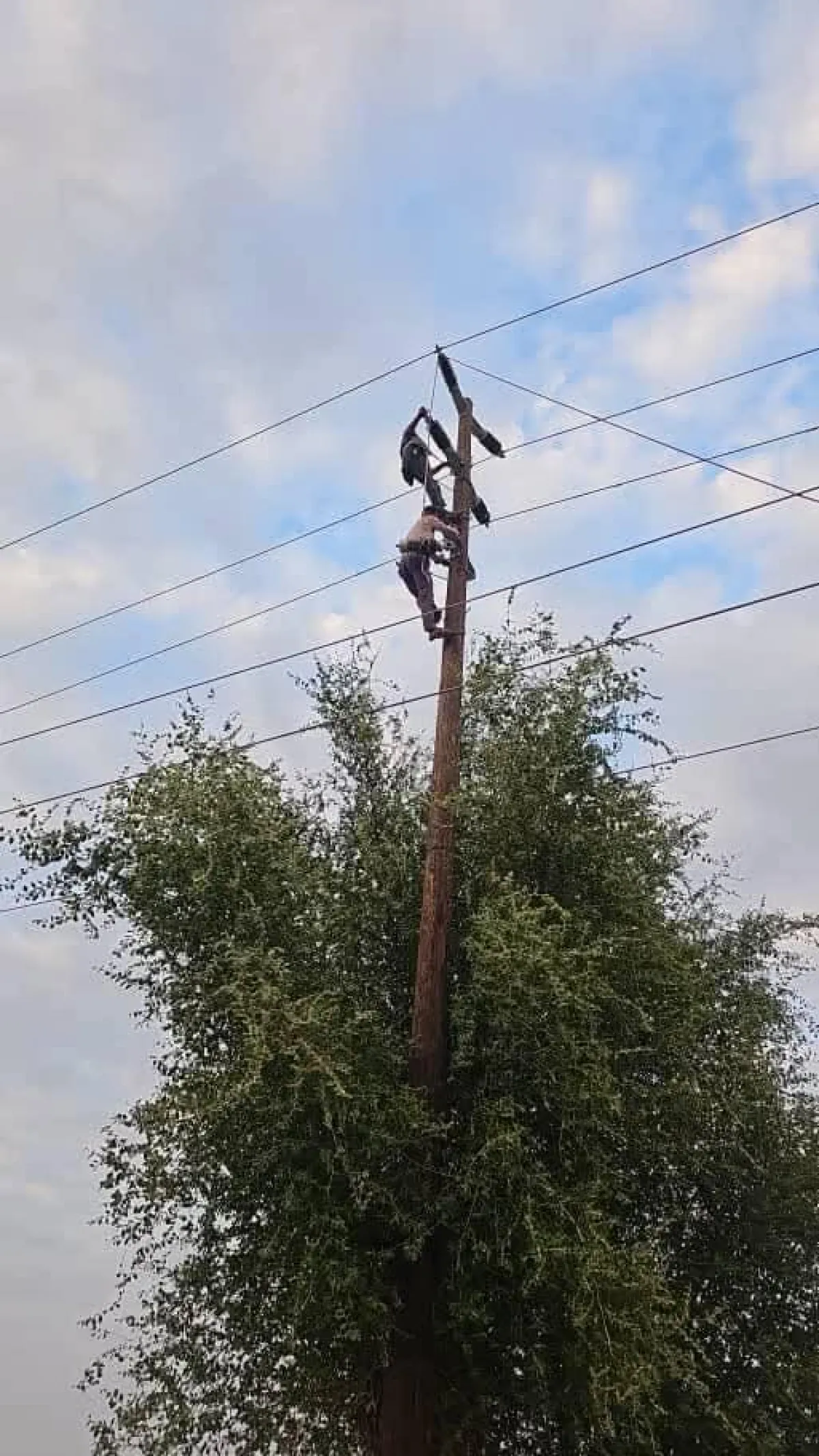 كهرباء مأرب تُعلن عن عمل صيانة وإضافة خط لمنطقة الروضة