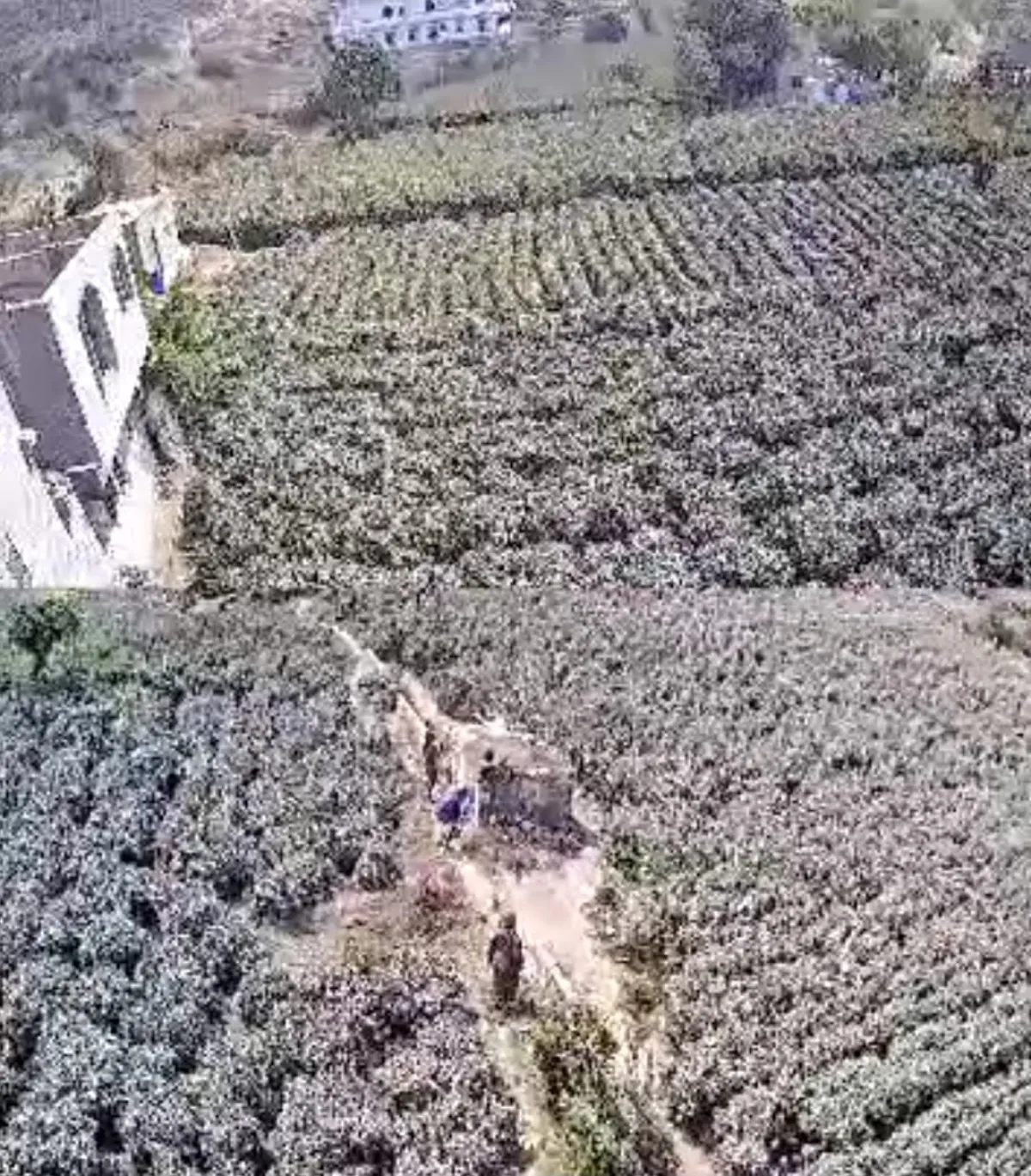 إب.. مسلحون حوثيون يقتحمون منزلاً في المخادر وينهبون محتوياته بعد إصابة مالكه