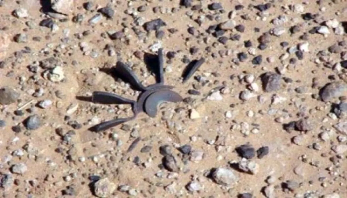 حجة.. مقتل ثلاثة أطفال وإصابة رابع بانفجار لغم حوثي في قرية مخشوش