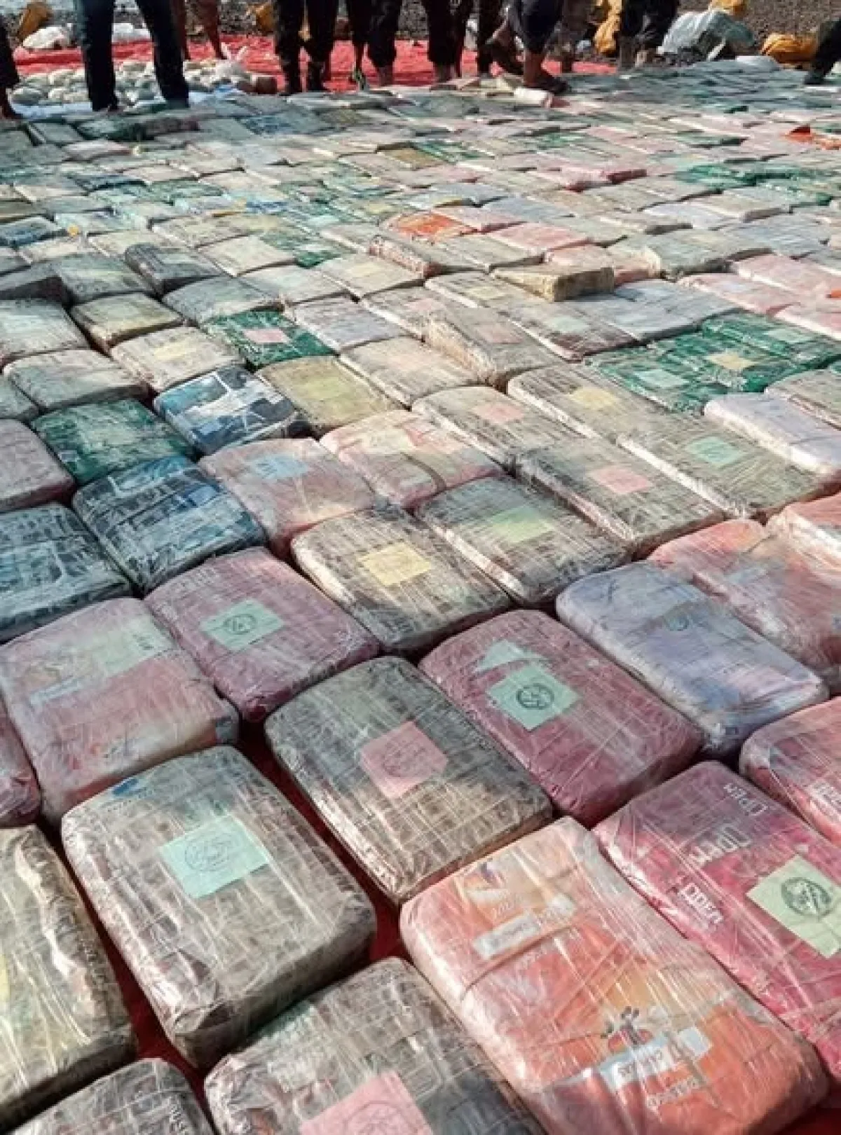 قوات العمالقة تضبط 623 كجم مخدرات قرب مضيق باب المندب