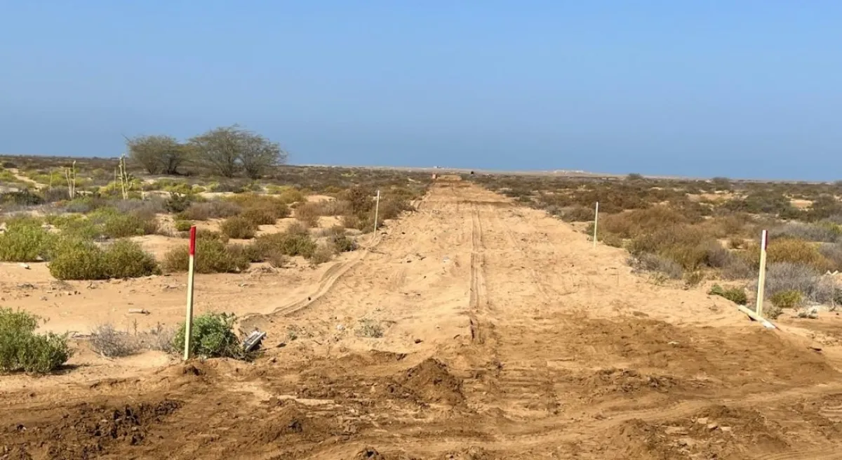 مسام: نزع أكثر من 5 آلاف لغم من مخلفات الحوثيين خلال مارس في المناطق اليمنية المحررة