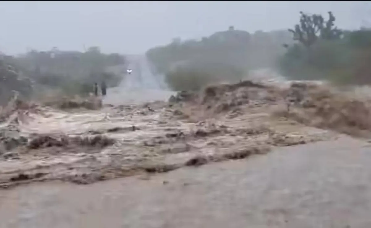 بين انهيار الجسور وغرق المخيمات.. سيول تعز تضع السلطات والمنظمات أمام اختبار حرج