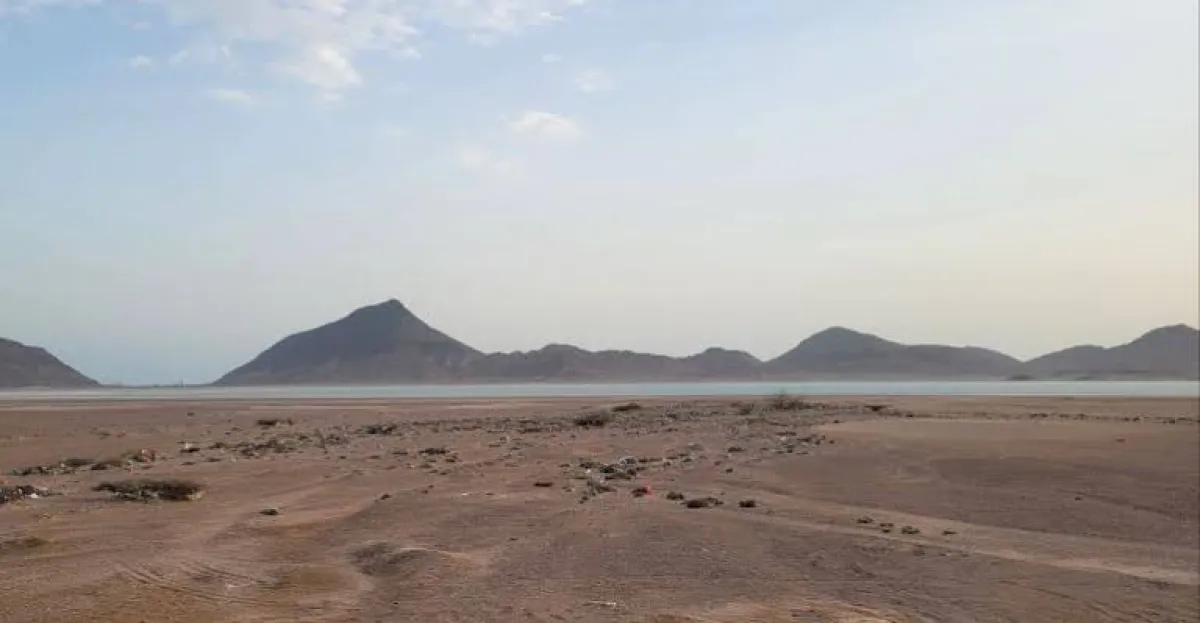 القوات المسلحة تسيطر على جبل زالات المطل على منطقتي العمري وباب المندب